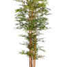 Bambú  arbol 170 cm.