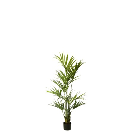 Palmera Kentia 120 cm