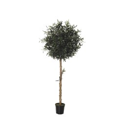 Arbol Olivo outdoor 150cm