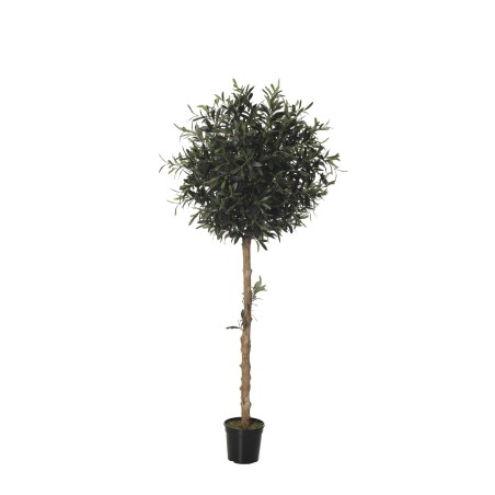 Arbol Olivo outdoor 150cm